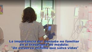 La importancia del donante no familiar en el trasplante de médula