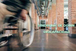 Hoy se celebra el día de la discapacidad