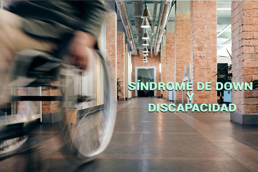 Hoy se celebra el día de la discapacidad